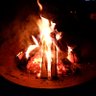 Camp's profile picture