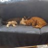 Franchu035 profil fotoğrafı