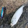 Фото профиля Алексей Ставридос 🐟