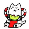 わんわん🐈🐾's profile picture