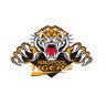 Profilbild von Hindpool Tigers ARLFC