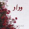 wedad 🇧🇭 的头像