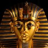 Abdeelrahman Hesham's profile picture