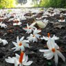 Фото профиля Dr. Rohini