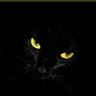güvenir's profile picture