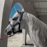 Фото профиля روايه عبدالعزيز