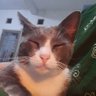 Profilbild von justice for all