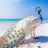 ♛ Lizabet profil fotoğrafı