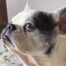 Garota de Direita ♥️🖤's profile picture