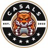 Casals🎮 的头像