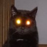 Колибу де Вода's profile picture