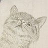 長いねこ美 的头像
