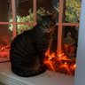 JPoli profil fotoğrafı