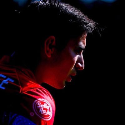 Bouquetismo's profile picture