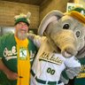 LF Stomperbeanie 🐘💚🧤💛's profile picture