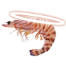 Фото профиля HolyShrimp