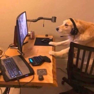 BrokeBoi's profile picture