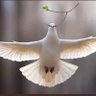 عبدالله العتيق's profile picture
