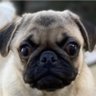 脚長くないけどあしながになりたいオヤジ profil fotoğrafı