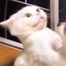 wintias's profile picture
