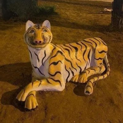 raykie's profile picture