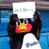 新九郎🐧 的头像
