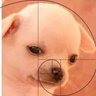El becario profil fotoğrafı