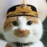 Фото профиля Neko Admiral