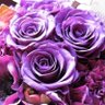 🌹うらら😊🕧💜 profil fotoğrafı
