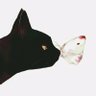 黑猫日记's profile picture
