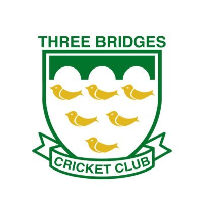 ThreeBridgesCC's profile picture