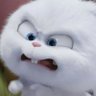 Esya's profile picture