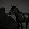 نورا الحربي's profile picture