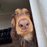 guuwy profil fotoğrafı