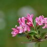 Фото профиля Edursun