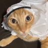 AntiRelic's profile picture