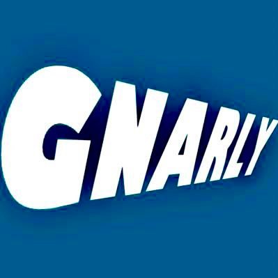 GNARLY_biripel's profile picture