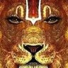 Фото профиля bhargav