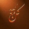 Ahmed Wagih Elgendy 的头像