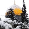 Mohamed_Abdou's profile picture