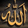 Фото профиля Enayat Mahmoud