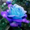 Фото профиля CassieJade