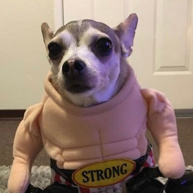 NoahWPlays's profile picture
