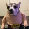 NoahWPlays's profile picture