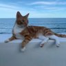Фото профиля Charlie