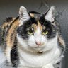 Profilbild von MiYo