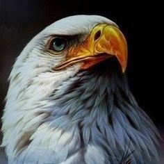 la7zmii's profile picture