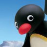 Pingu Capital 的头像