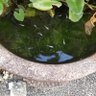 まあ's profile picture