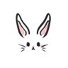 いなば's profile picture